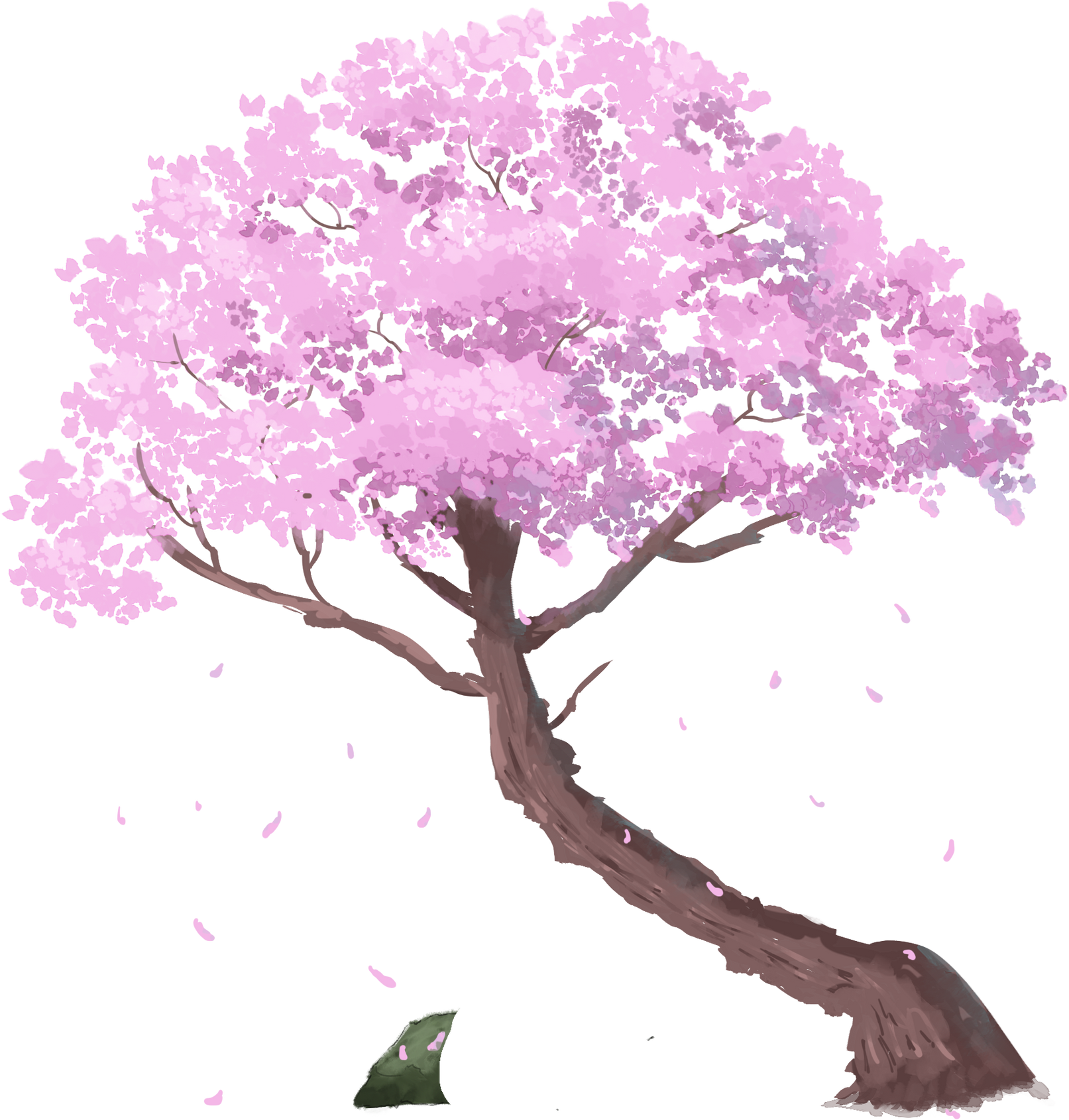 Cherry Blossom Tree